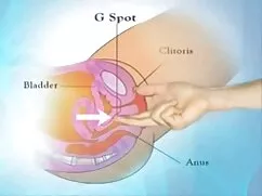 Áo sơ mi trắng, sex les phụ nữ nhà xâm chiếm
